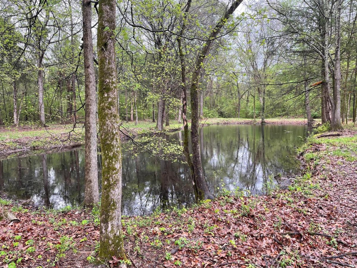 Charming Tiny Home! Close To Oxford, Sardis Lake, Safari Animal Zoo Екстериор снимка
